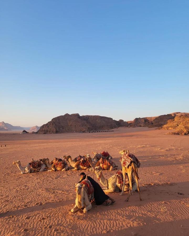 Wadi Rum Rose Luxury Camp Exteriör bild