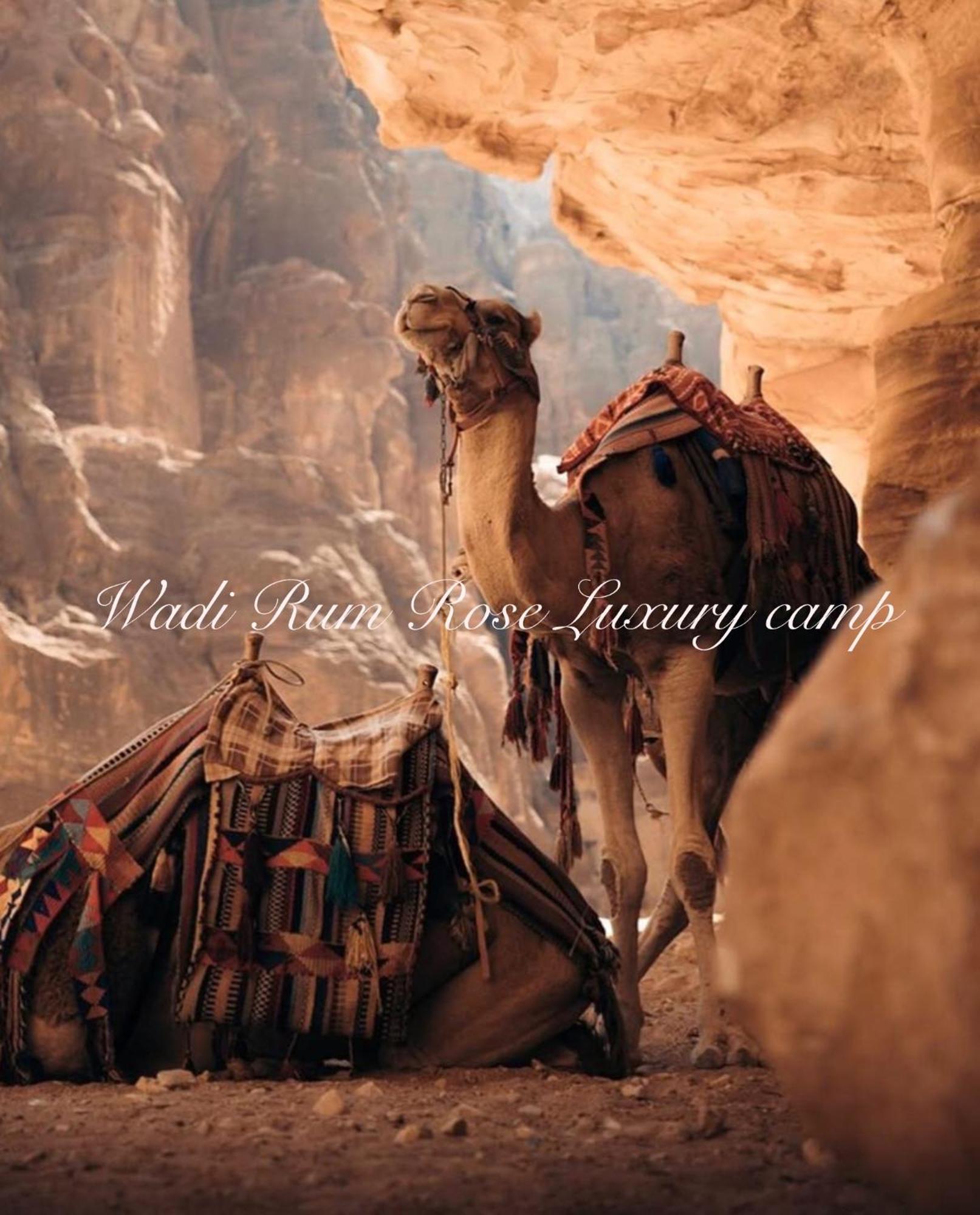 Wadi Rum Rose Luxury Camp Exteriör bild